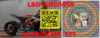 PSILOCYBIN Беслан