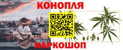 круглые Бийск