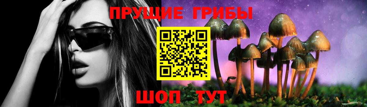 Псилоцибиновые грибы мицелий Качканар